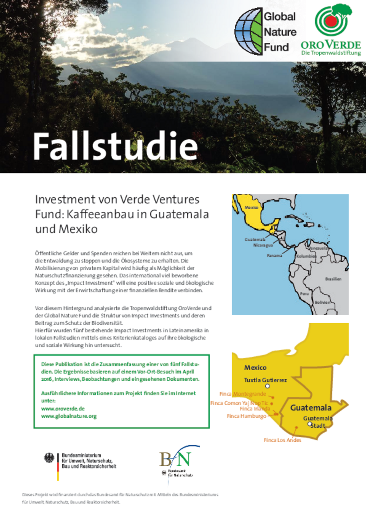 Impact Investment: Fallstudie 3