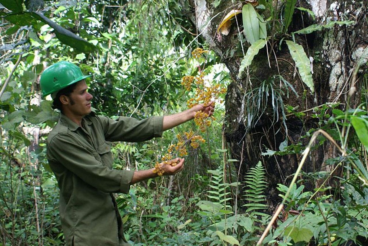 Forscher im Regenwald