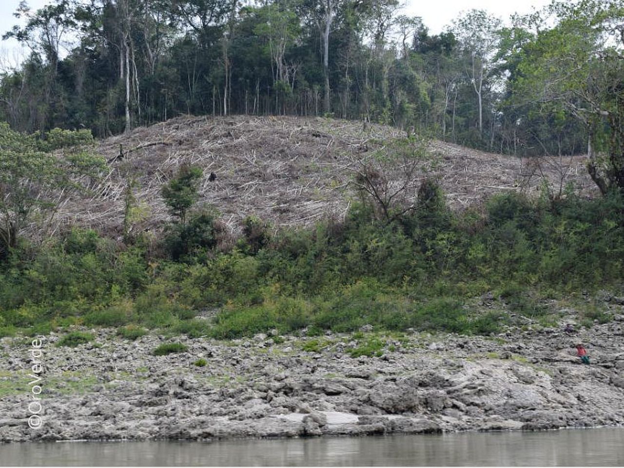 Wassermangel bringt Wälder in Gefahr, verschwindet der Wald, wird auch Wasser knapper: ein Teufelskreis. © OroVerde