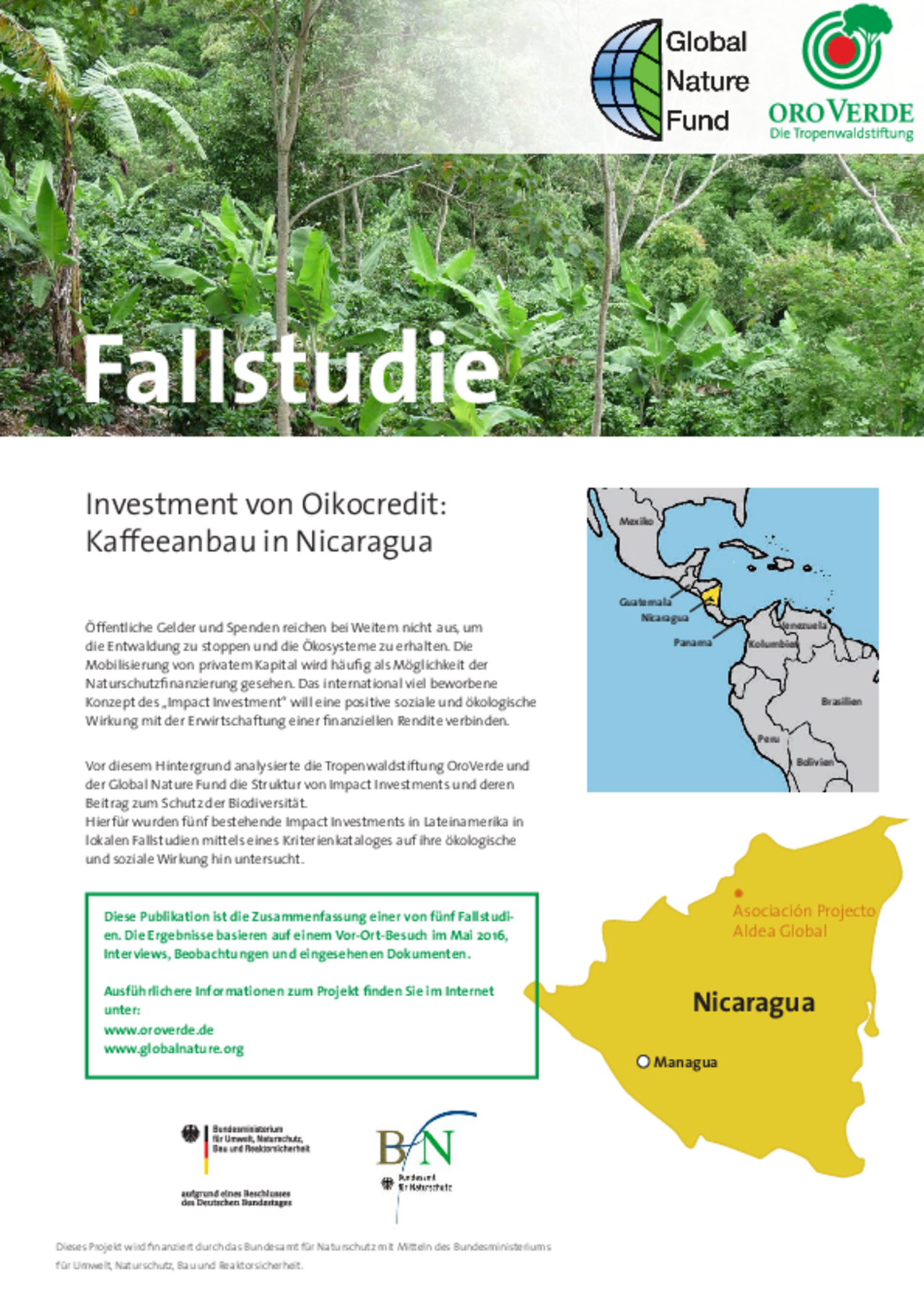 Impact-Investment: Fallstudie 4