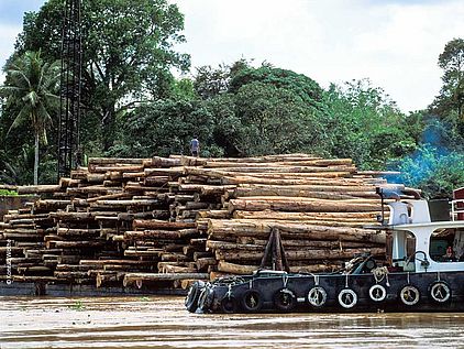 Tropenholz und der Regenwald: Holzstämme werden verschifft © Konrad Wothe